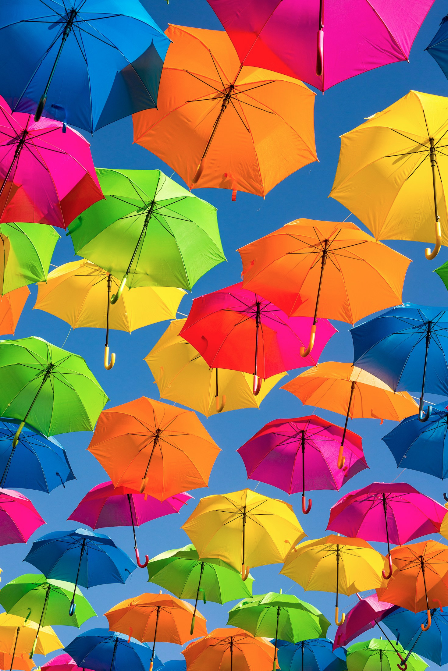 Waarom regenboogfamilies steun nodig hebben in Amersfoort